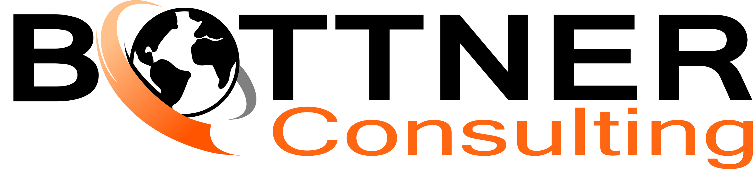 Bottner Consulting